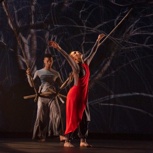 Espectáculo de danza El pájaro de fuego