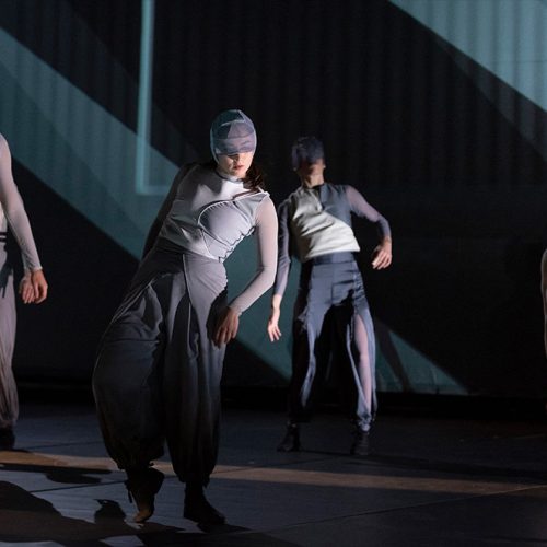 Espectáculo de danza El pájaro de fuego