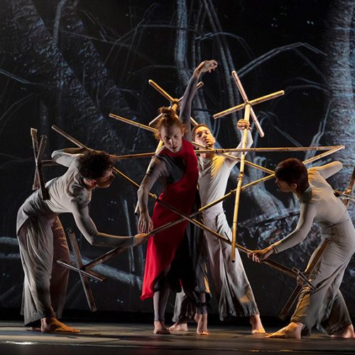 Espectáculo de danza El pájaro de fuego