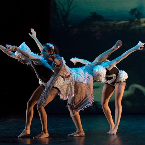 Danza el Lago de los cisnes