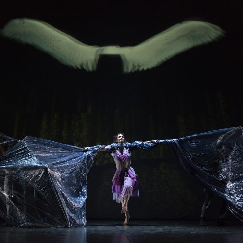 Danza el Lago de los cisnes