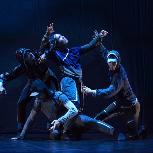 Danza el Lago de los cisnes